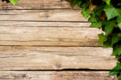 Nature poster background