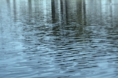 Nature poster background