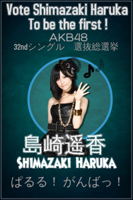 Sample Campaign Posters
