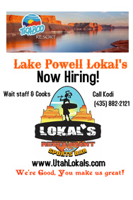 Small Business Flyers idea