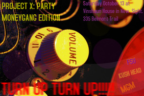 Party Flyers idea