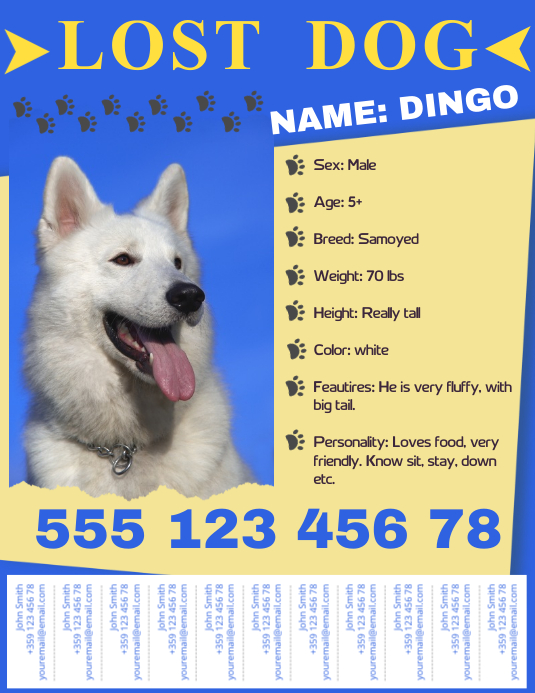 Lost Pet Flyer Template with Tabs PosterMyWall