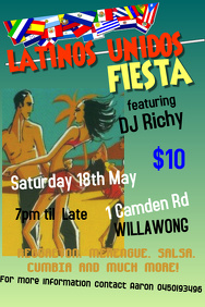 Party Flyers idea