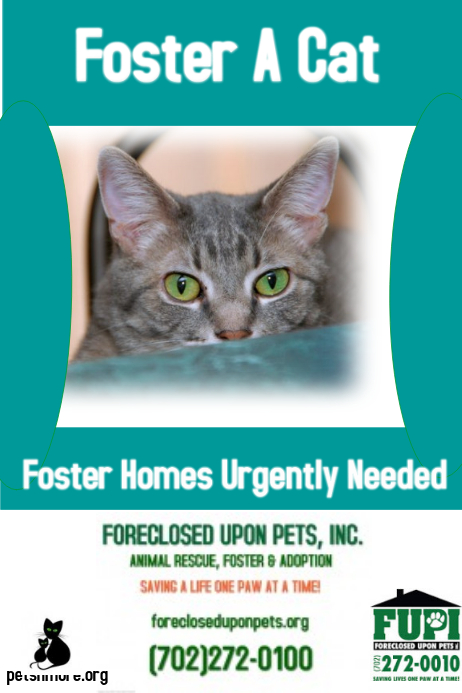 Adopt a Pet Poster Template | PosterMyWall