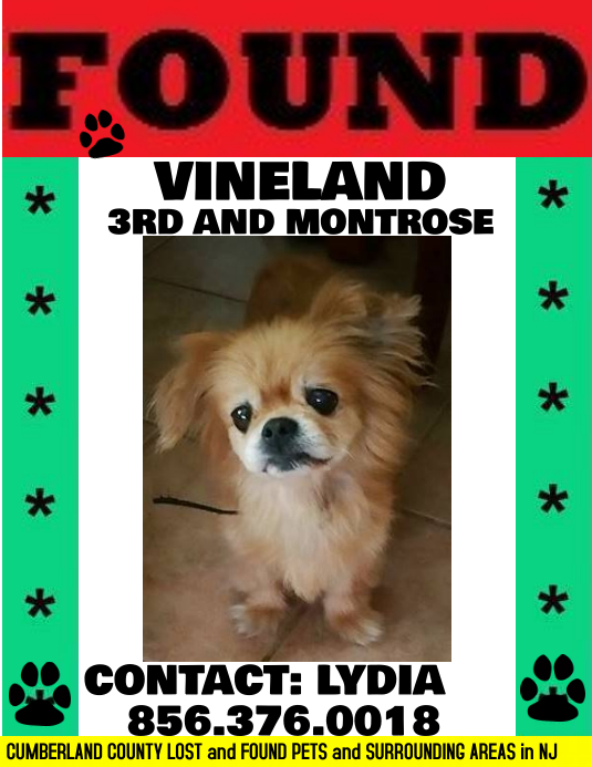 Gail's Lost and Found Furbaby Flyer PosterMyWall
