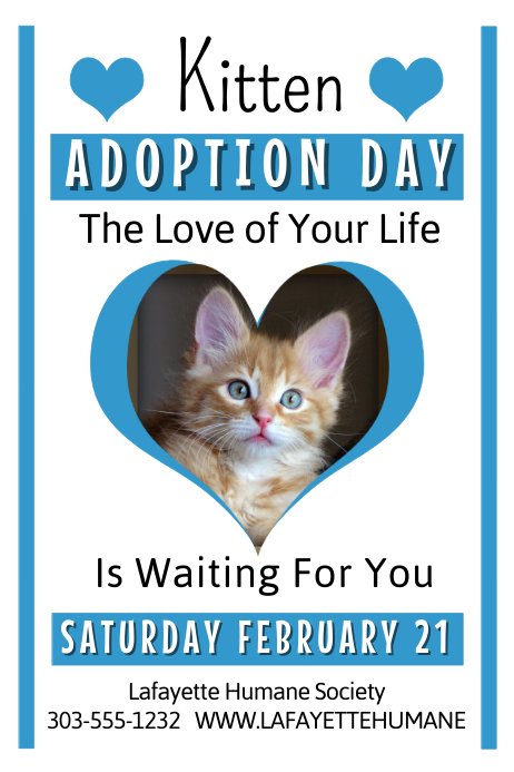 Kitten Adoption Template PosterMyWall