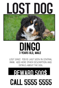 <strong>Lost</strong> Dog Poster | Missing <strong>Pet</strong> Flyer |<strong>Lost</strong> Dog Flier Lost pet sign template
