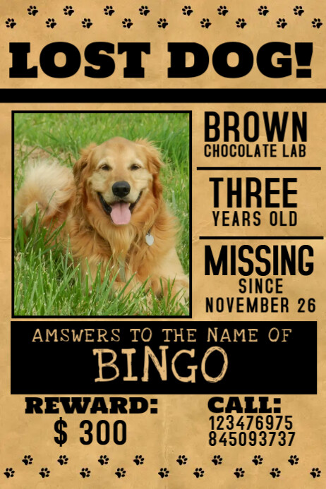 The chihuahua care guide: food, personality, training, and more PosterMyWall | Pets