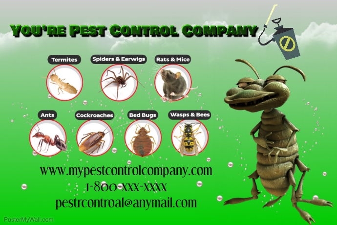 Pest Control Template | PosterMyWall