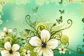 romantic poster background with white flowers